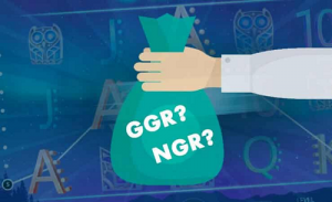 2 Что такое GGR и NGR Актуальная информация для 2021 года